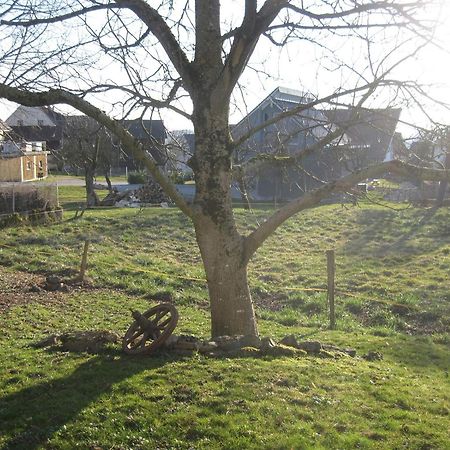 Unterm Nussbaeumle Apartment Adelhausen Bagian luar foto