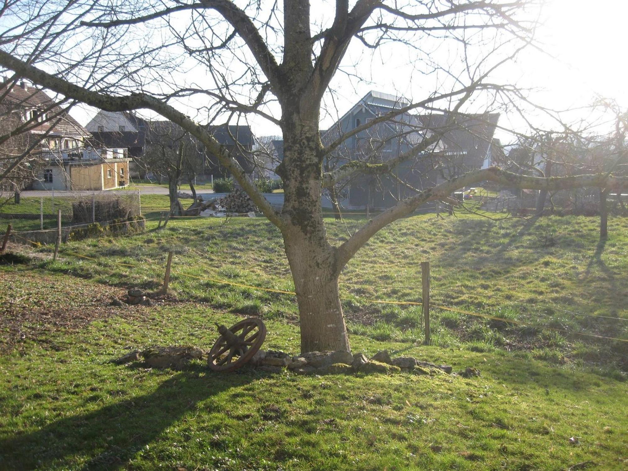 Unterm Nussbaeumle Apartment Adelhausen Bagian luar foto